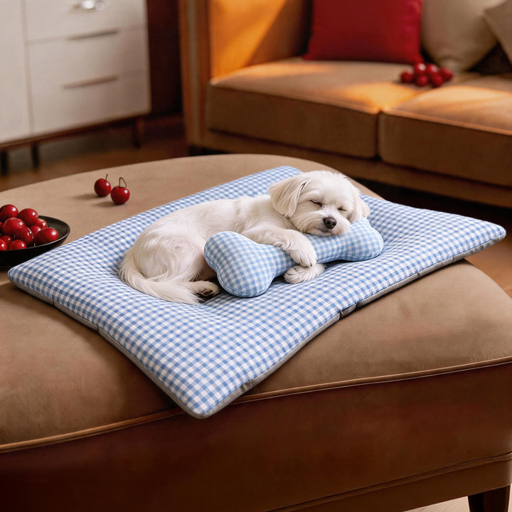 Women’s Luxury Cat Bed with Ergonomic Cushion Kalsten