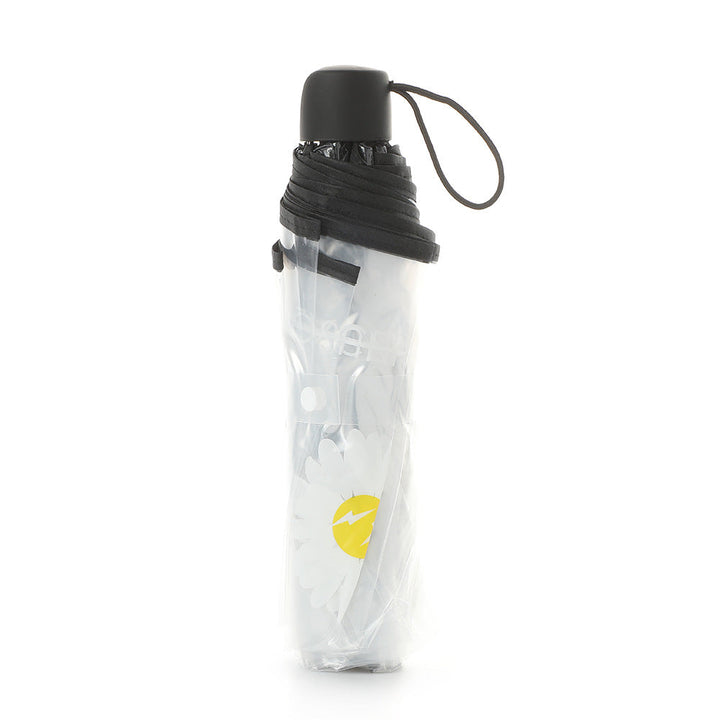 Women's compact and stylish umbrella Kalsten