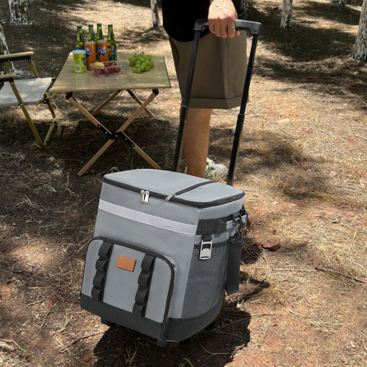 Women's travel cooler bag with telescopic handle Kalsten