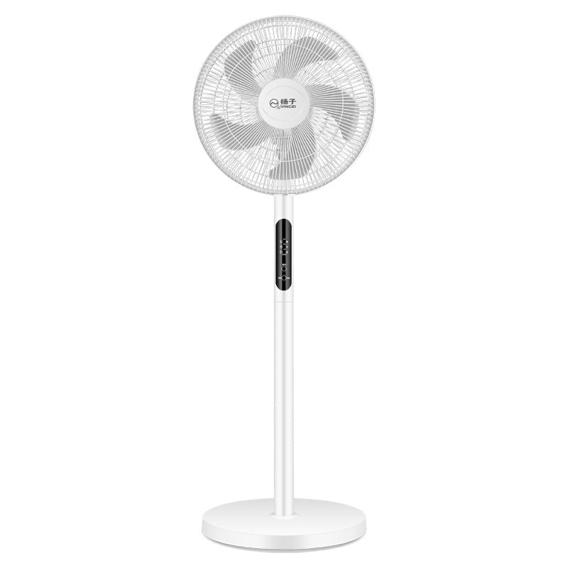 Ladies Stand Fan Kalsten