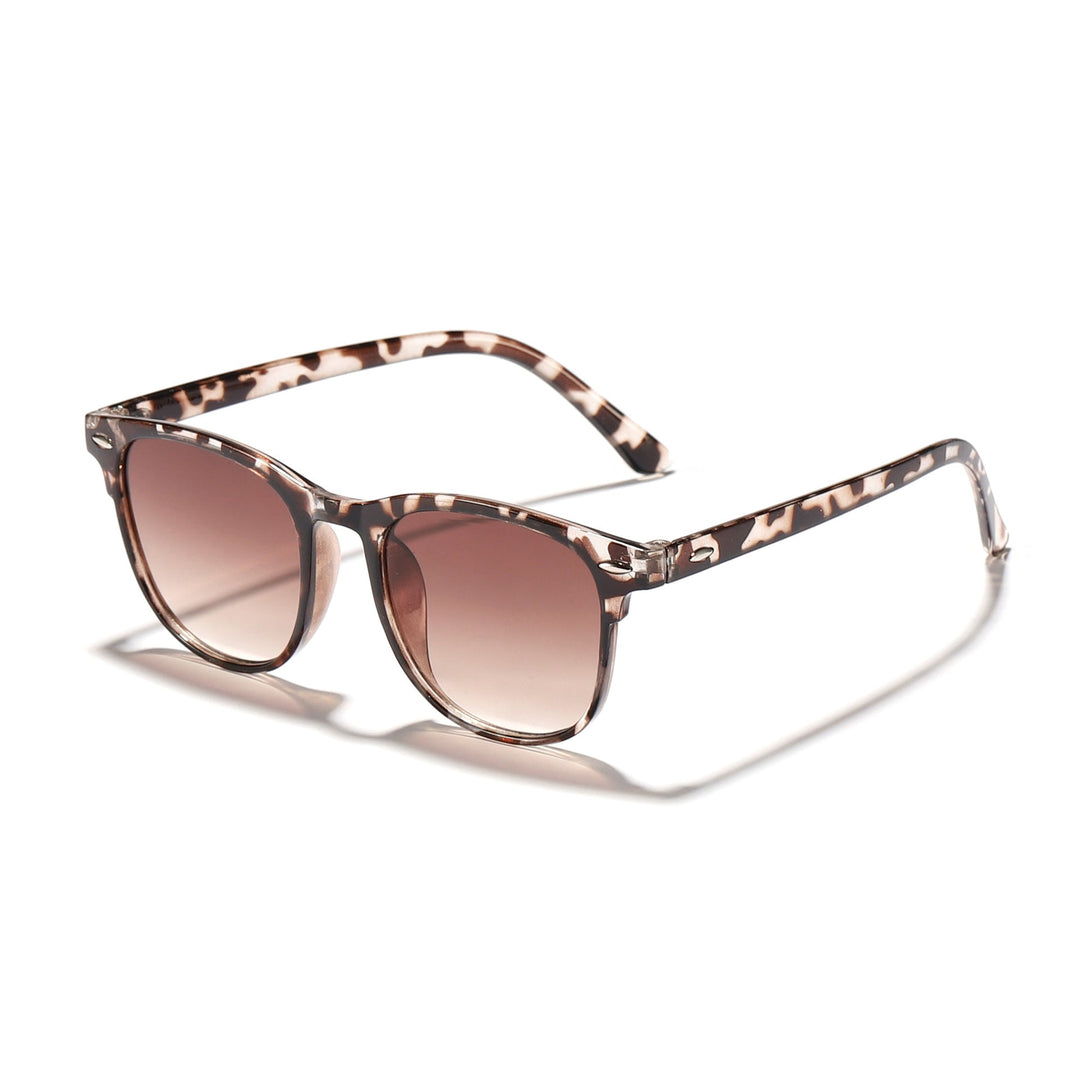 Ladies trendy Transparent Sunglasses Kalsten