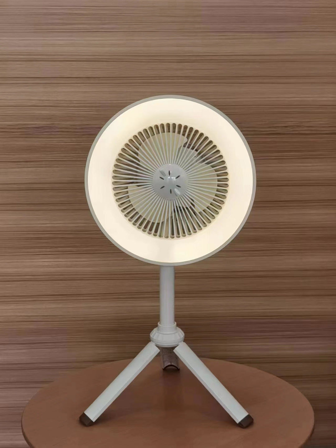 Hanging LED Pendant Light Kalsten
