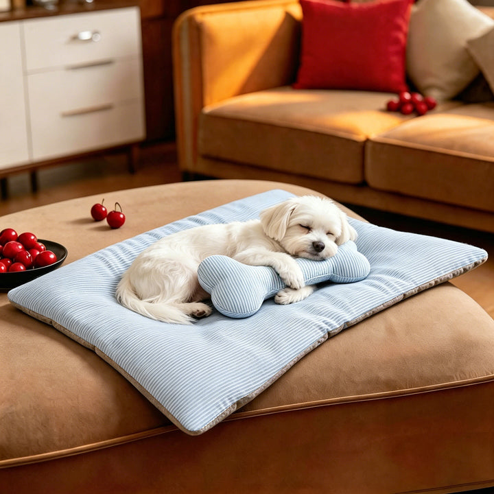 Unisex Cozy and durable pet mat with various cushion shapes Kalsten