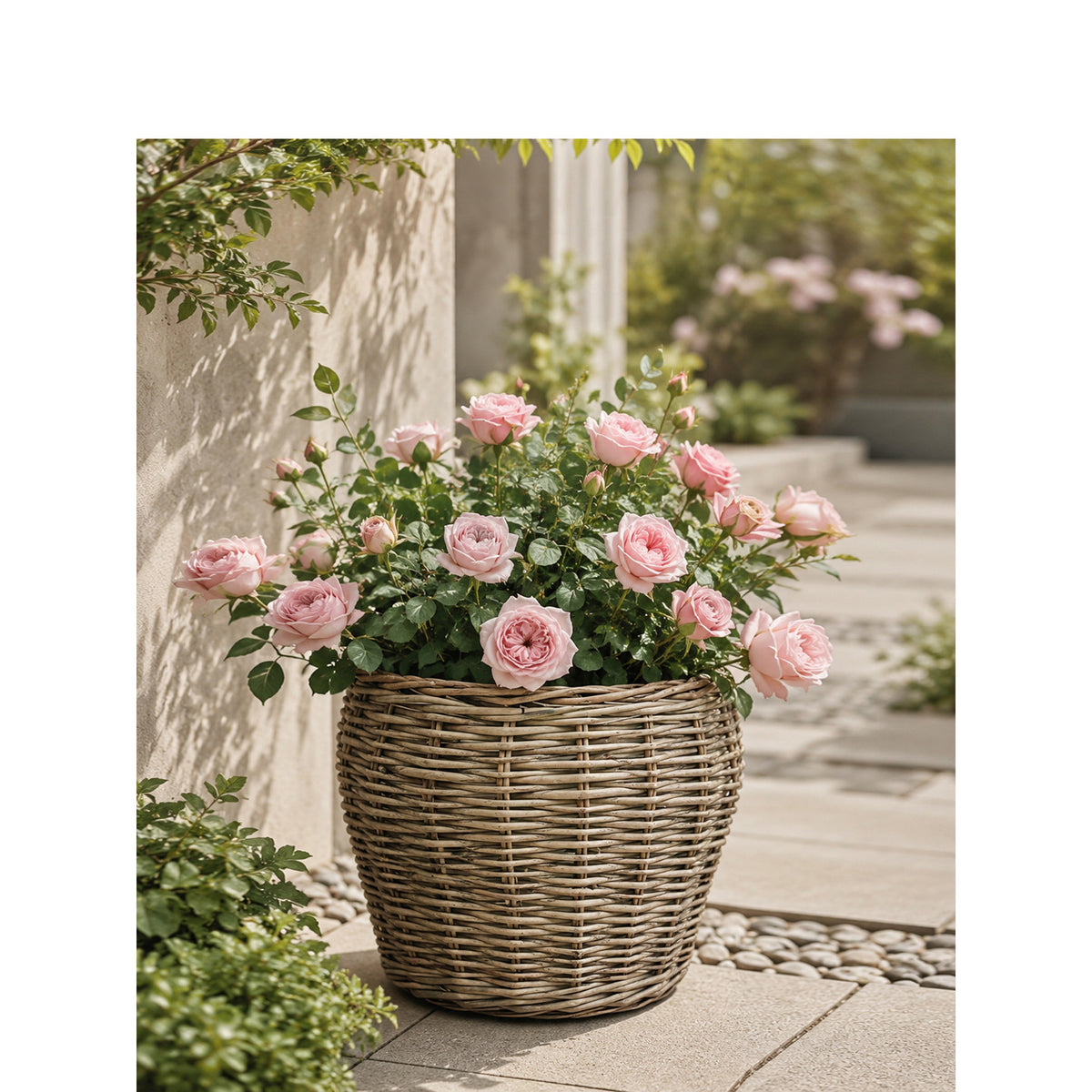Decorative plant basket with plastic inner bag Acalora