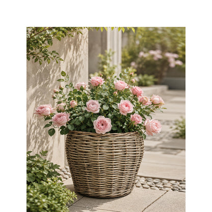 Decorative plant basket with plastic inner bag Acalora