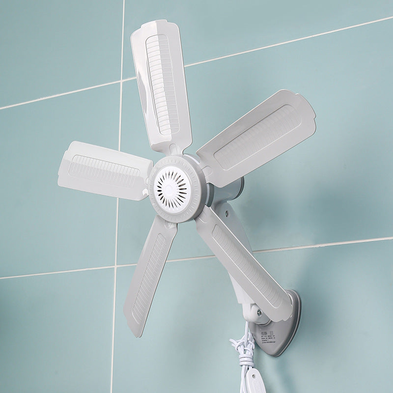 Women Wall Fan Kalsten