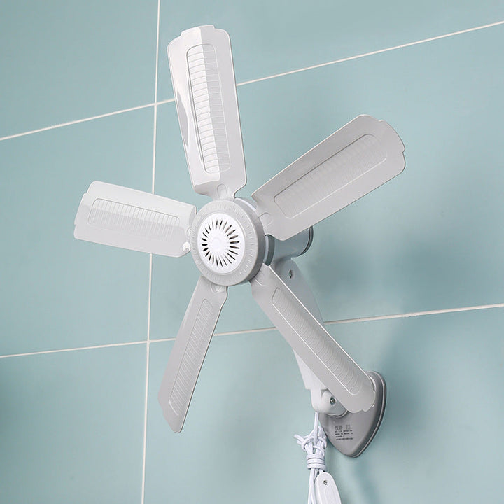 Women Wall Fan Kalsten