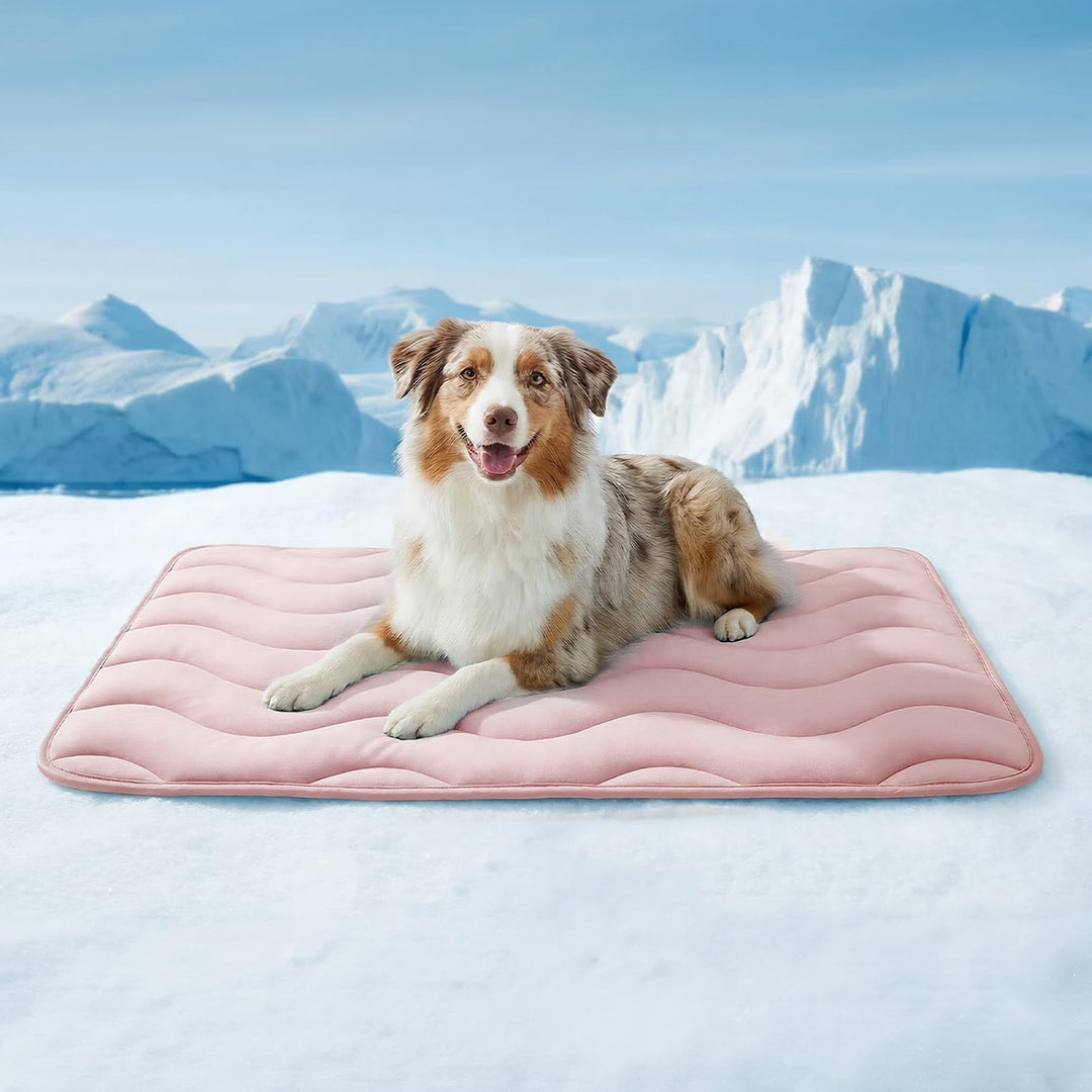 Ladies orthopedic dog bed Kalsten