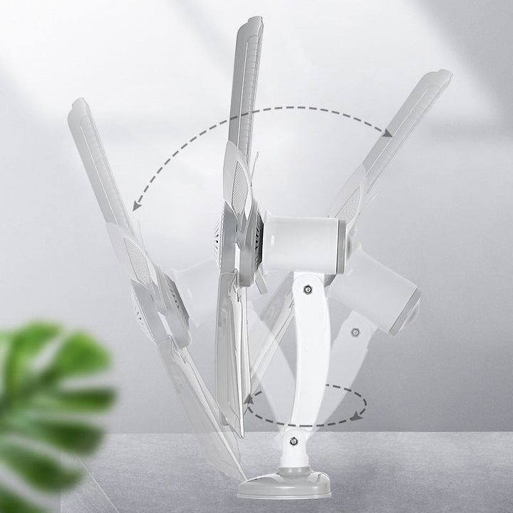 Women Wall Fan Kalsten