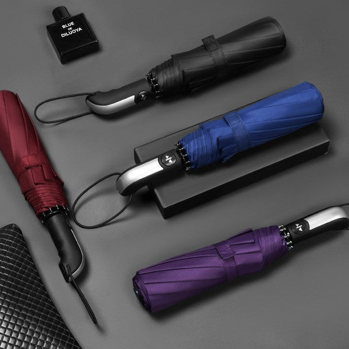 Women's Folding Umbrella with Ergonomic and Elegant Handle Kalsten