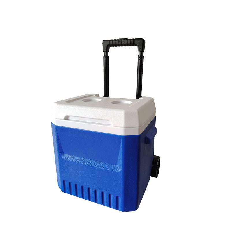 Ladies cooler bag with extendable handle and wheels Kalsten