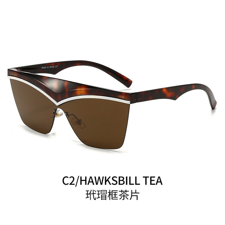Ladies Designer Sunglasses with Asymmetrical Frame and High-Tech Lenses Kalsten