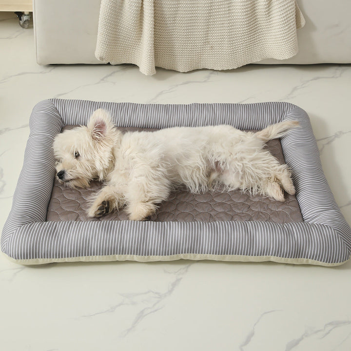 Dog Bed