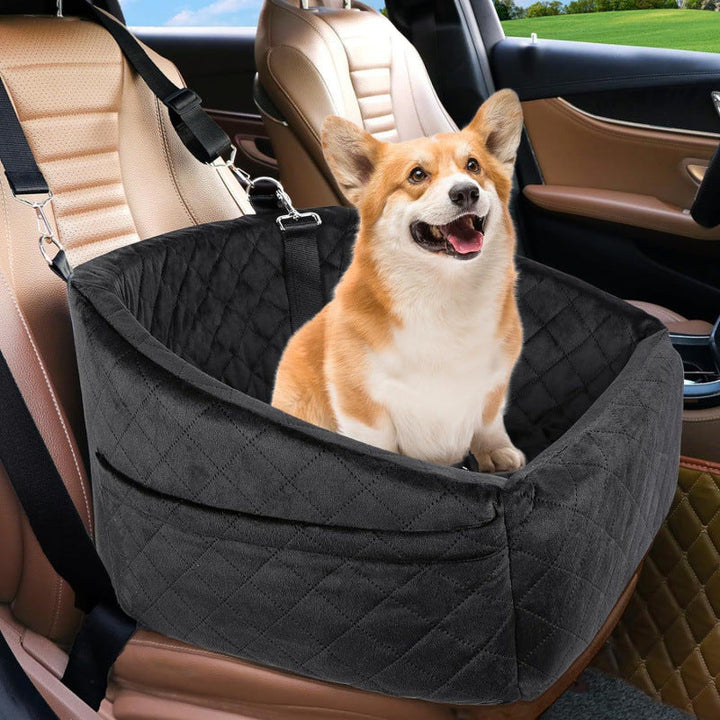 Secure transport box for pets Kalsten