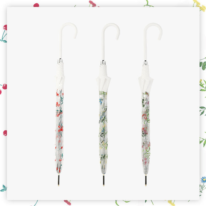 Women's Transparent Umbrella with Ergonomic Handle Kalsten