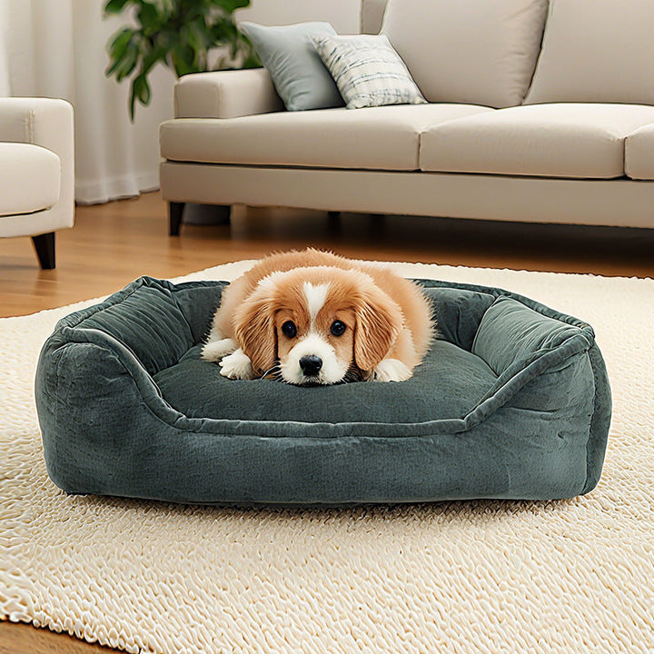Memory Foam Orthopedic Dog Bed