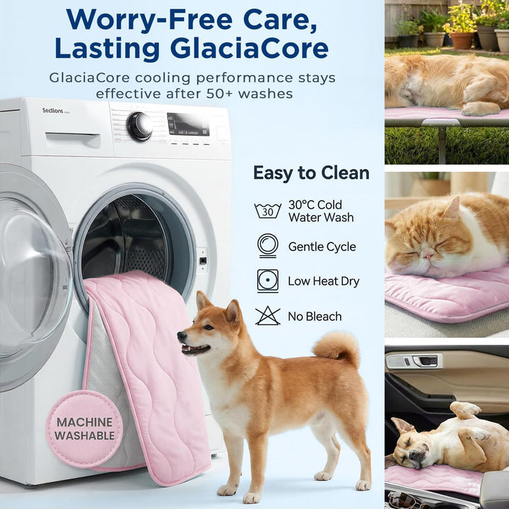Ladies orthopedic dog bed Kalsten