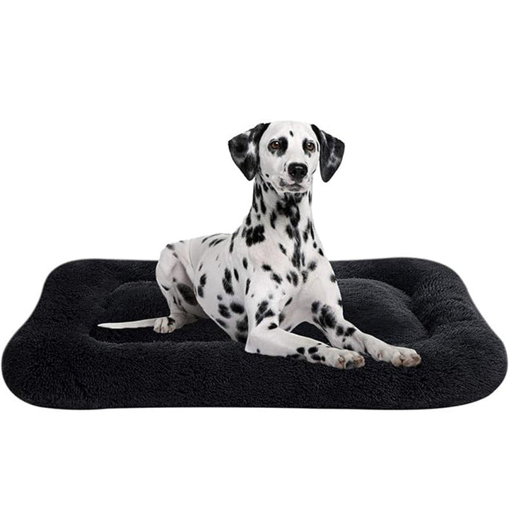 Orthopedic Support Dog Bed
