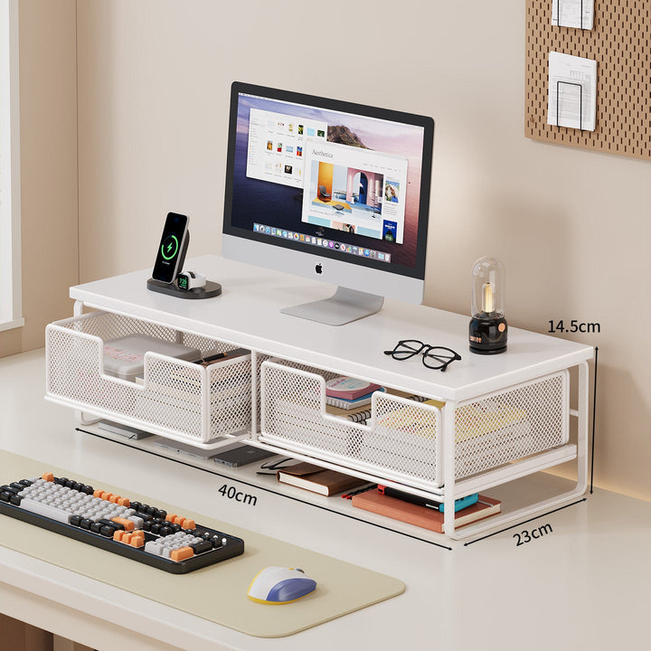 Multi-Functional Wire Mesh Desktop Organizer Kalsten