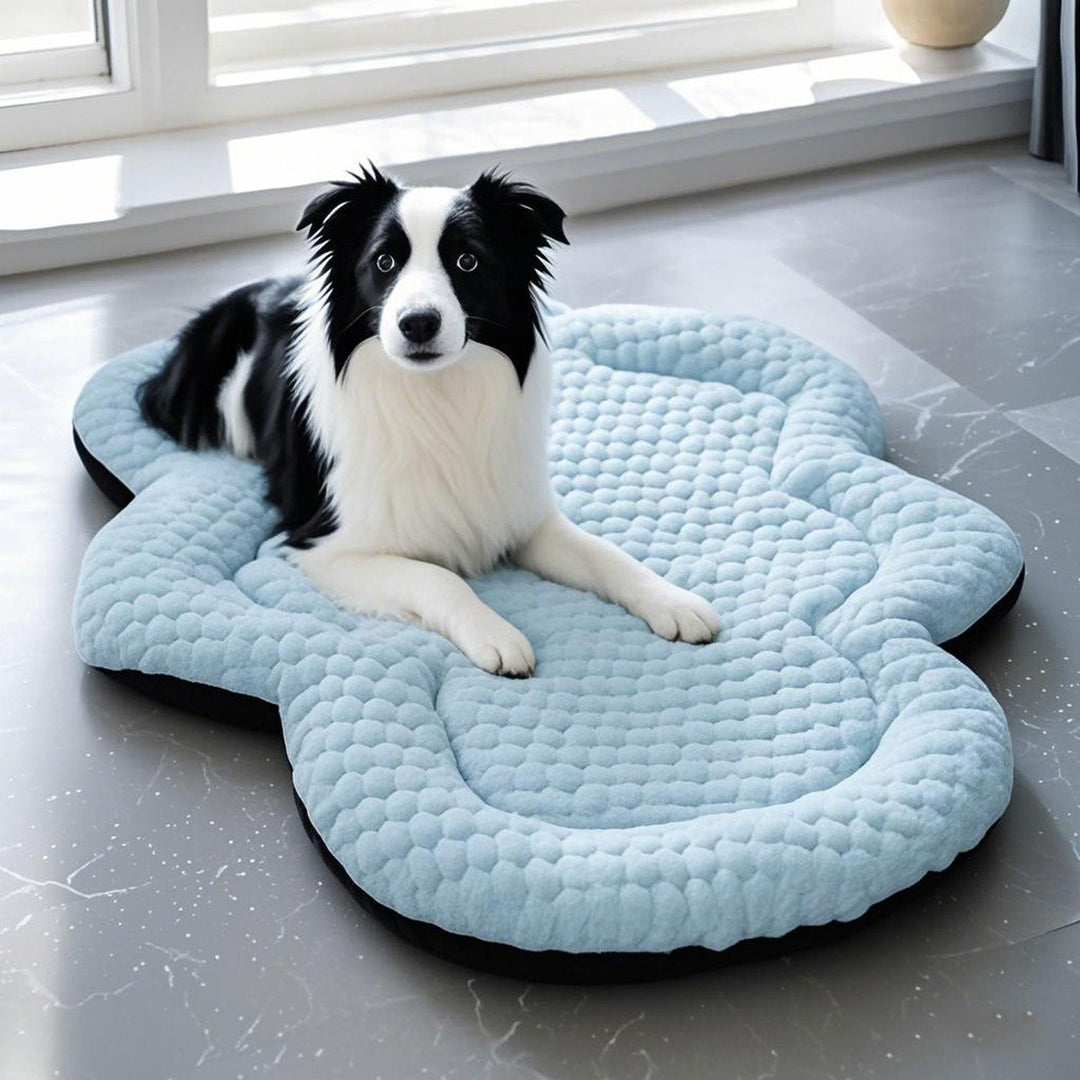 Cloud-Shaped Dog Bed