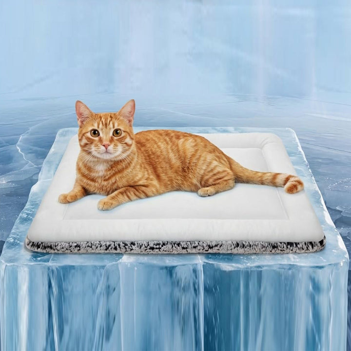 Unisex Cooling Pet Mat Kalsten