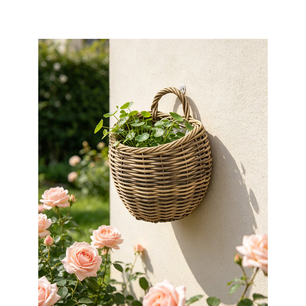 Presentation basket Acalora