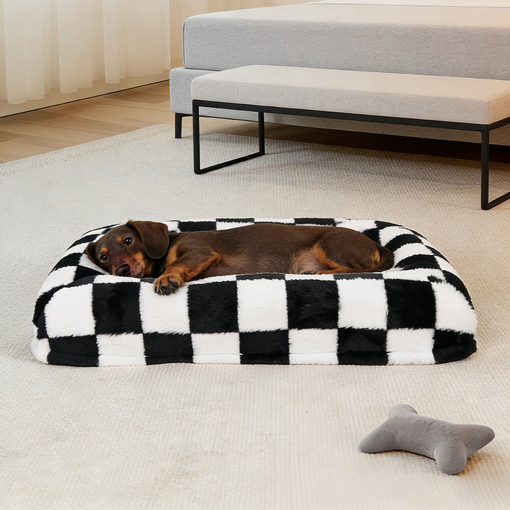 Elevated Orthopedic dog Cushion