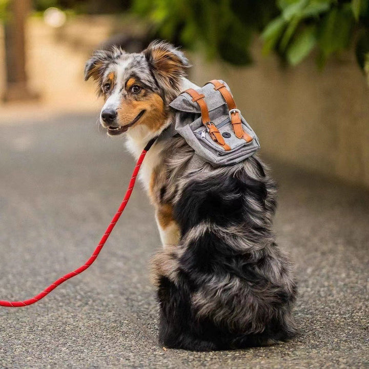 Unisex practical pet backpack with safety closure Kalsten