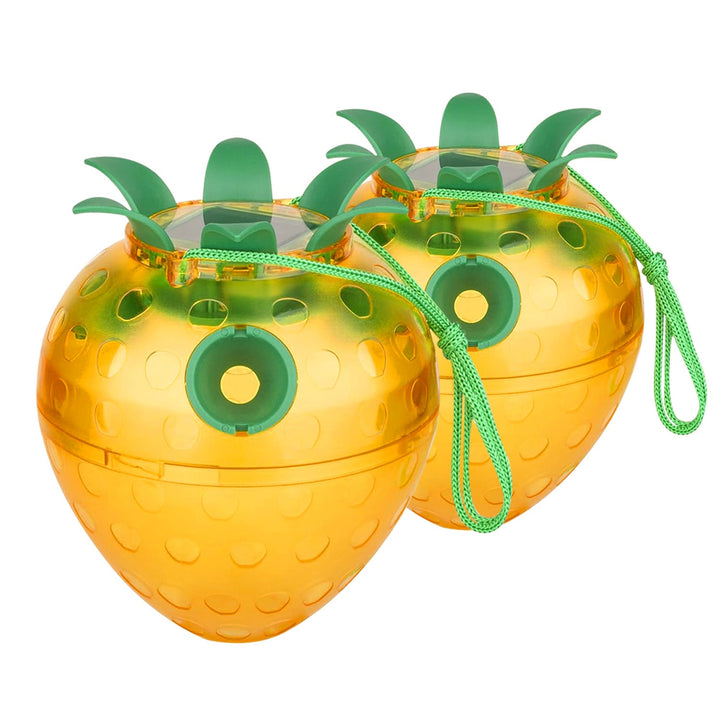 Attractive Insect Trap Kalsten