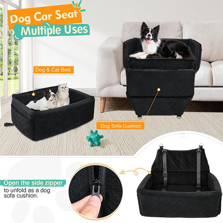 Safety Dog Transport Box Kalsten