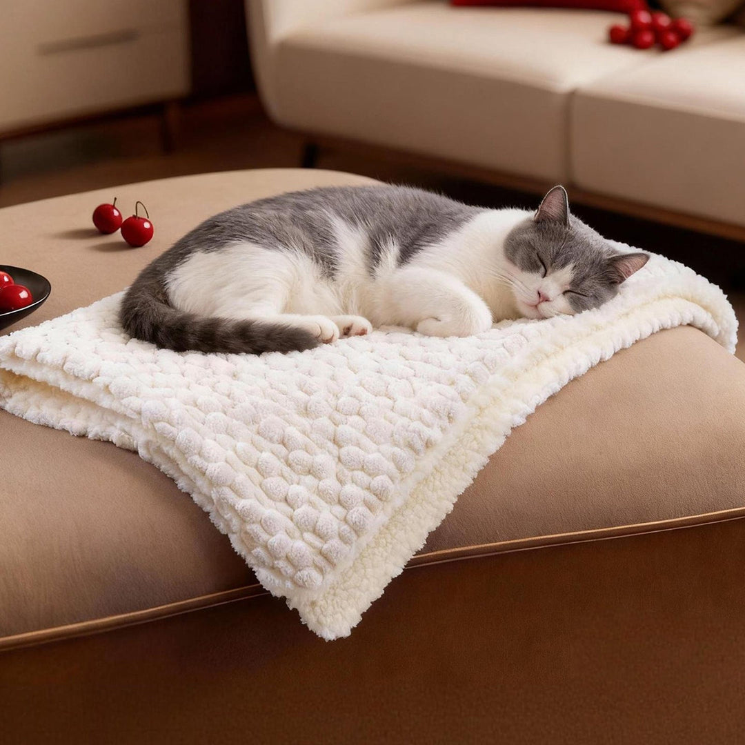 Women's Cozy and Reversible Blanket with High-Quality Surface Texture Kalsten
