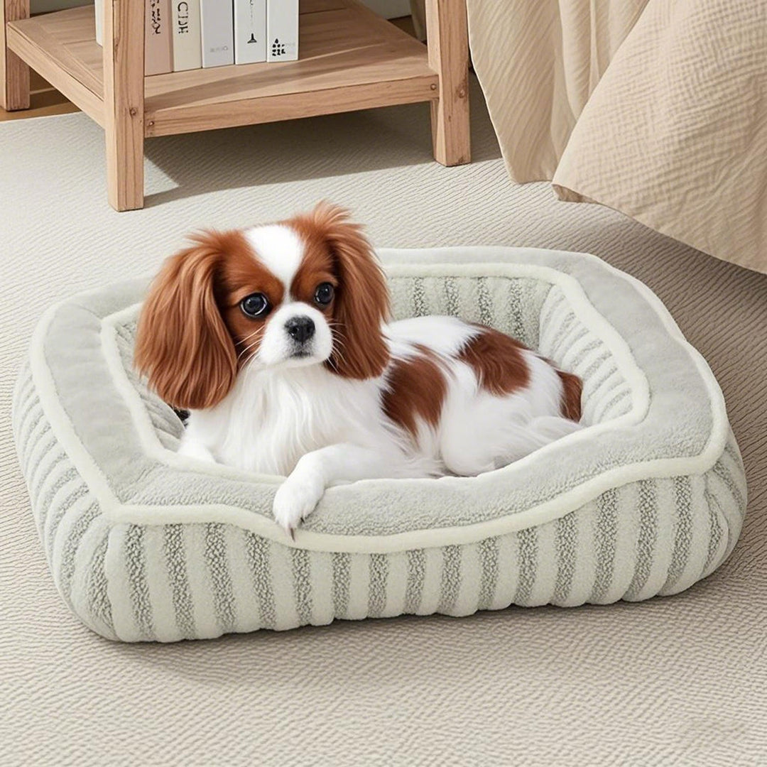 Cushioned Rectangular Dog Bed