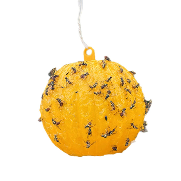Hanging adhesive wasp trap sphere for outdoor garden pest control Kalsten