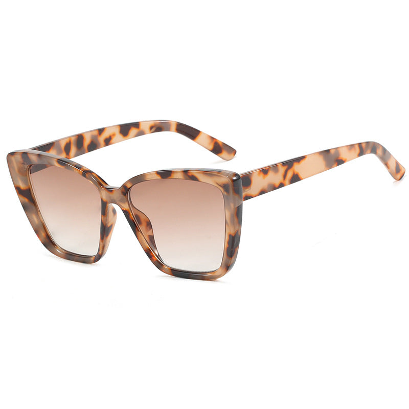 Ladies square sunglasses in modern tortoise pattern Kalsten