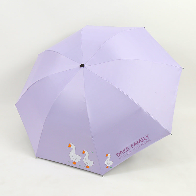 Ladies Umbrella Kalsten