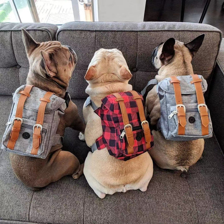 Unisex practical pet backpack with safety closure Kalsten
