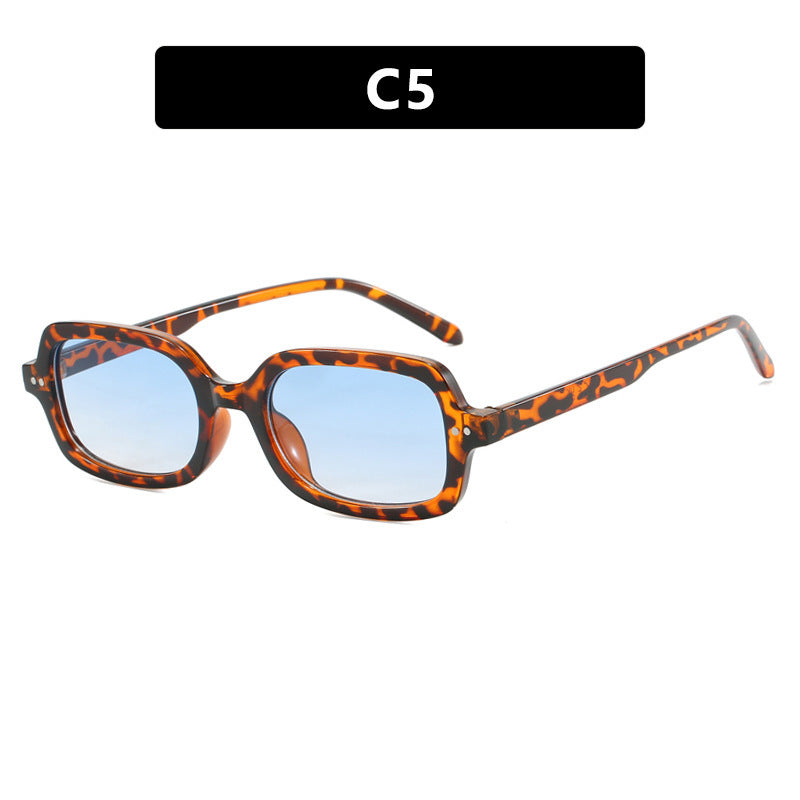 Ladies fashionable sunglasses with unique tortoiseshell frame Kalsten