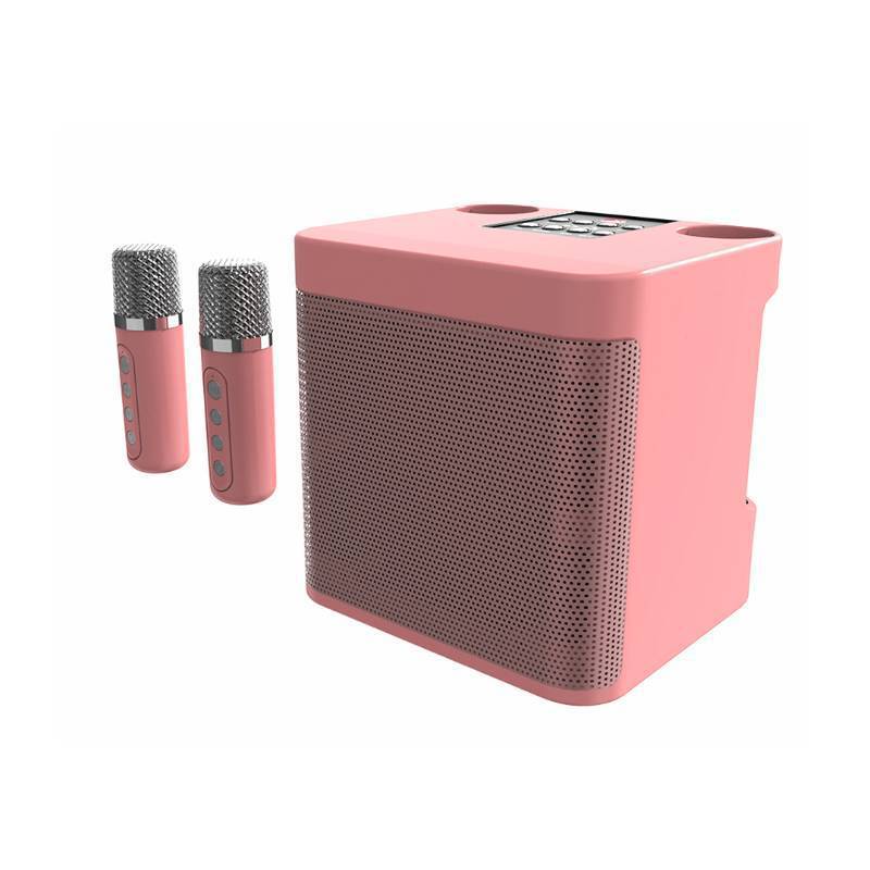 Wireless Karaoke Speaker System with Dual Microphones Kalsten