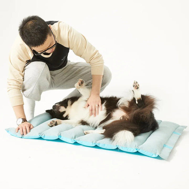 Ladies Air Bed Mattress Kalsten