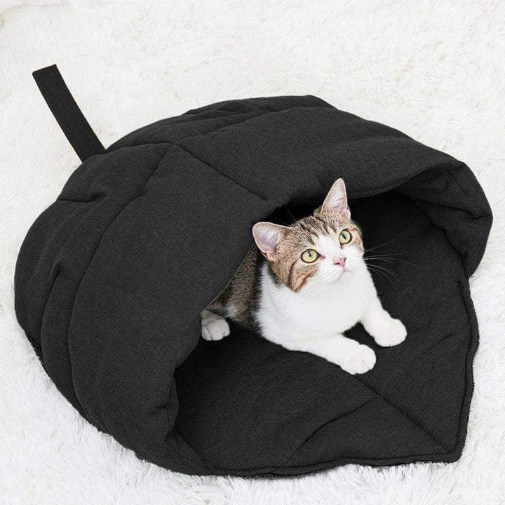 Cozy cat cave Kalsten