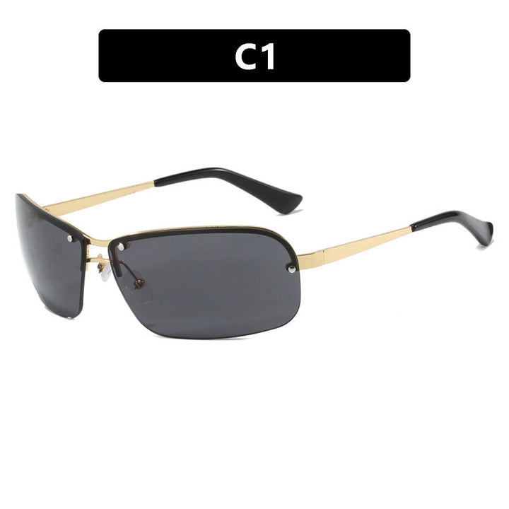Ladies sunglasses with large, elegant lenses and a modern metal frame Kalsten