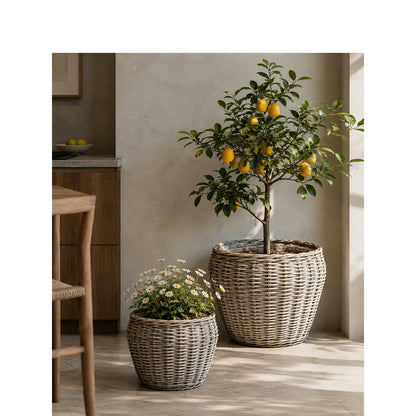 Decorative plant basket with plastic inner bag Acalora