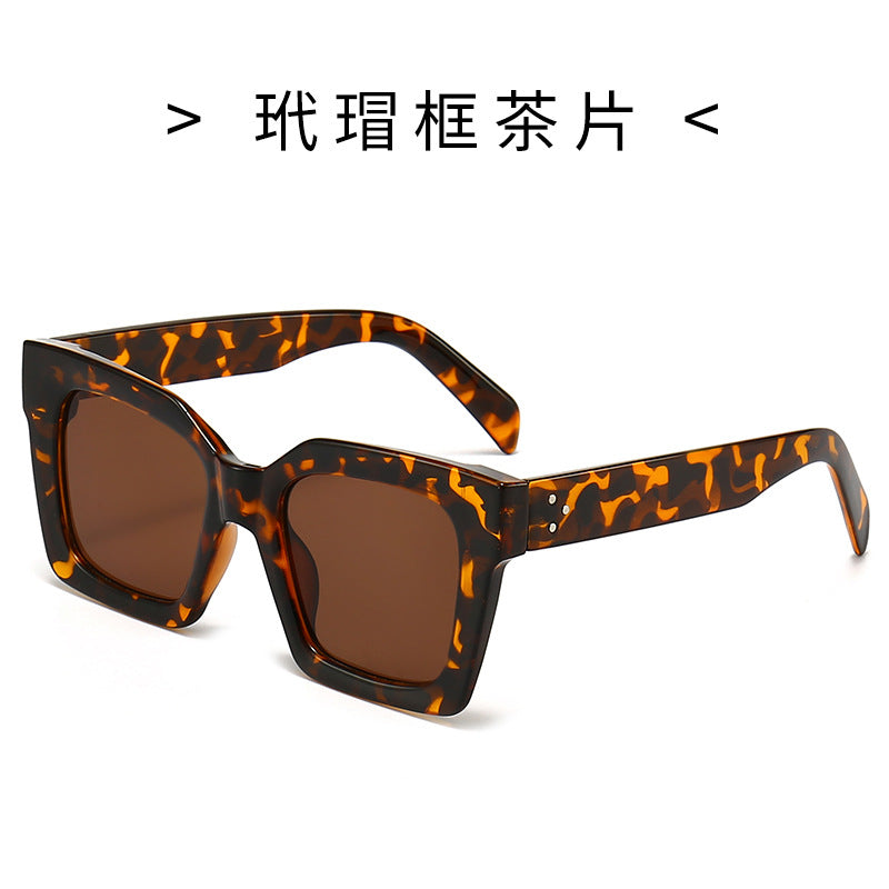 Women's Fashion Sunglasses in Striking Turtle Design Kalsten