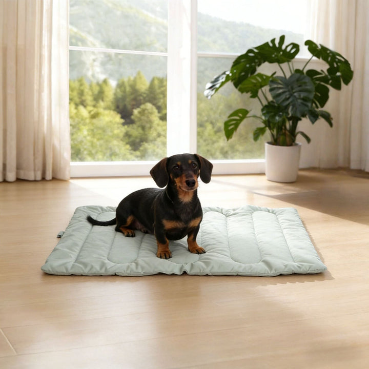 Premium Quilted dog Sleeping Mat