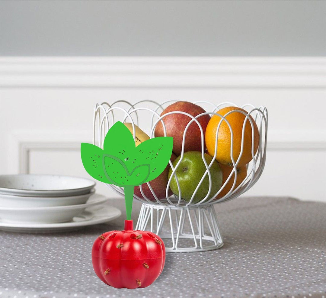 Reusable countertop fruit fly trap with tomato-shaped sticky bait reservoir Kalsten