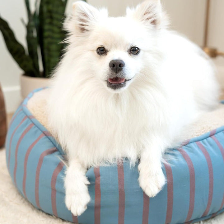Cozy Round Plush Dog Bed