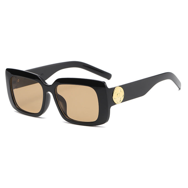 Women's Oversized Sunglasses with Luxurious Transparent Frame Kalsten