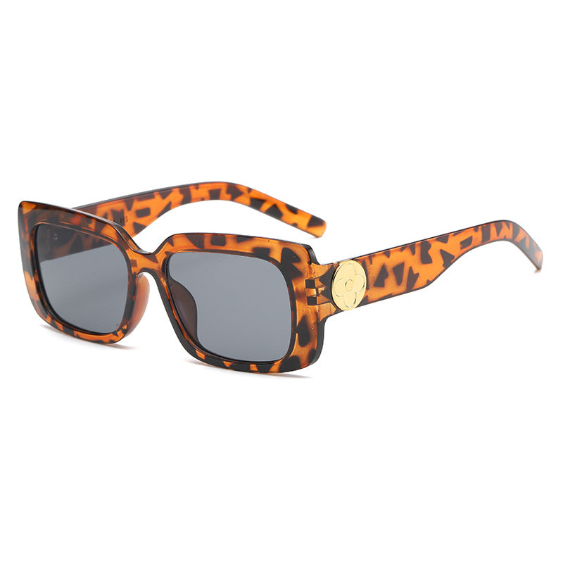Women's Oversized Sunglasses with Luxurious Transparent Frame Kalsten
