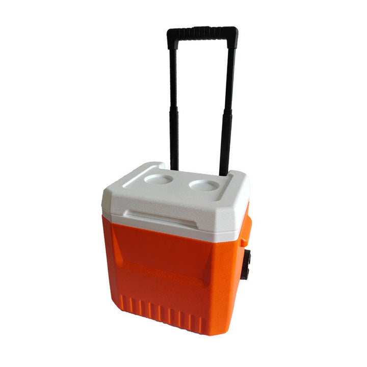 Ladies cooler bag with extendable handle and wheels Kalsten