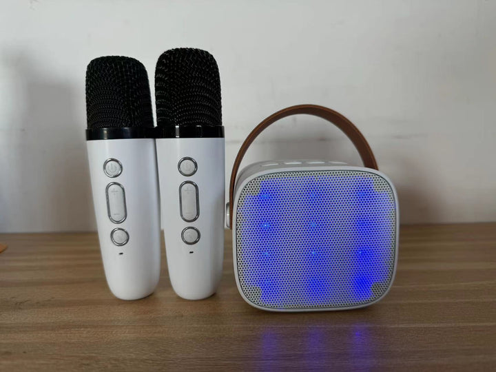 Wireless Karaoke Microphone Set Kalsten